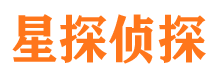 喜德市调查公司